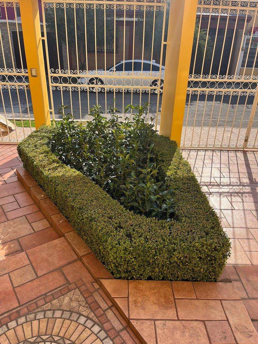 4 de 28