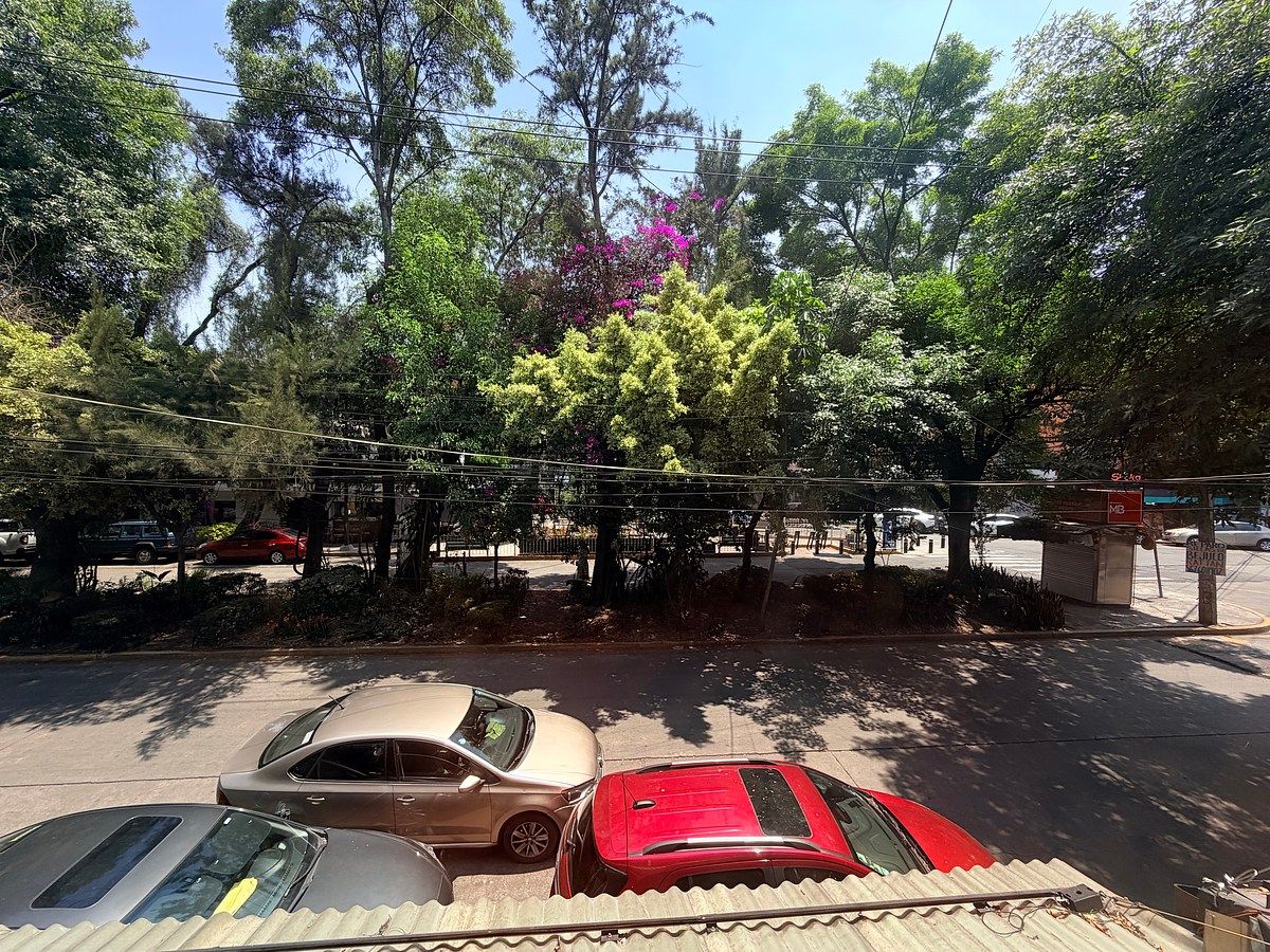 14 de 16: Vista desde terraza