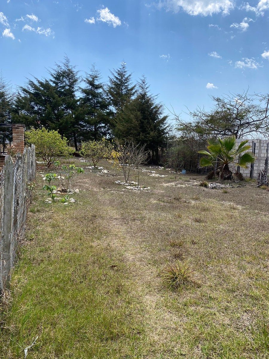 8 de 27