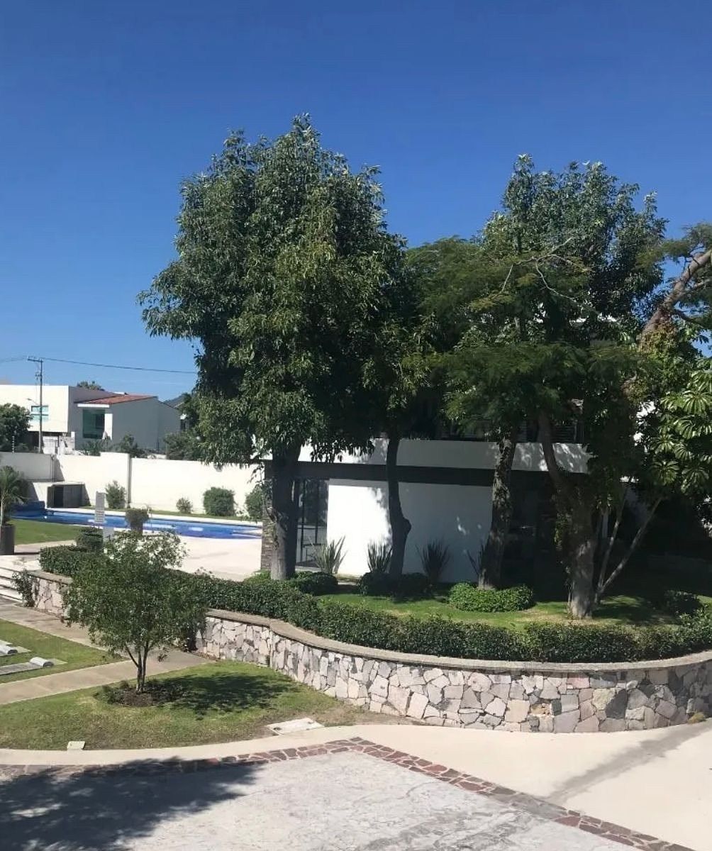6 de 12