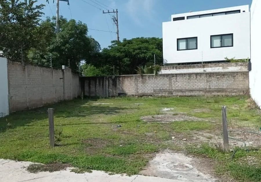 7 de 12