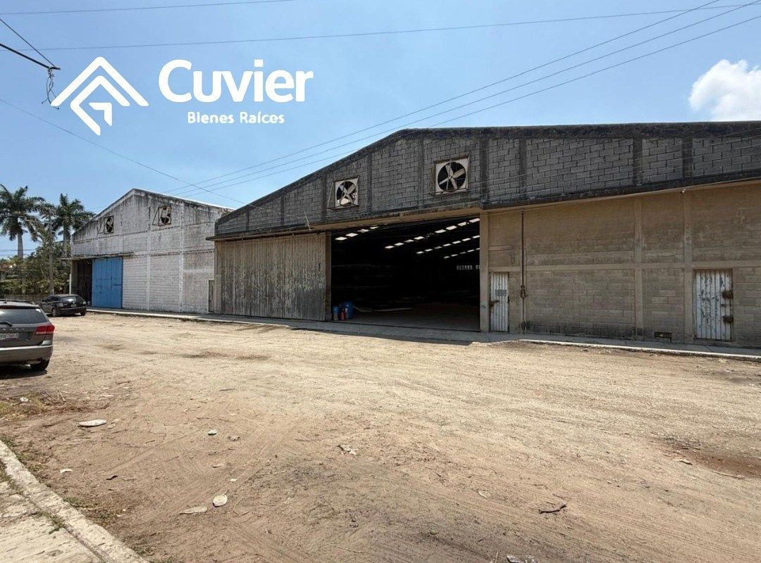WAREHOUSE FOR RENT, DEL BOSQUE COL., photo 1 of 13