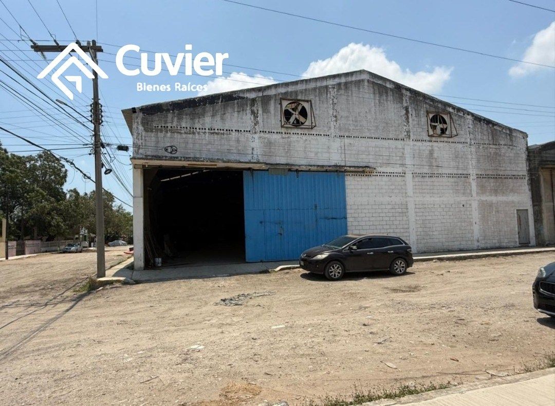 Commercial Storage Unit in Del Bosque, Tampico, photo 12 of 13