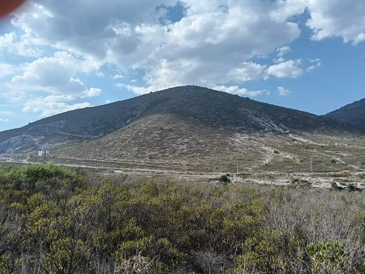 13 de 31