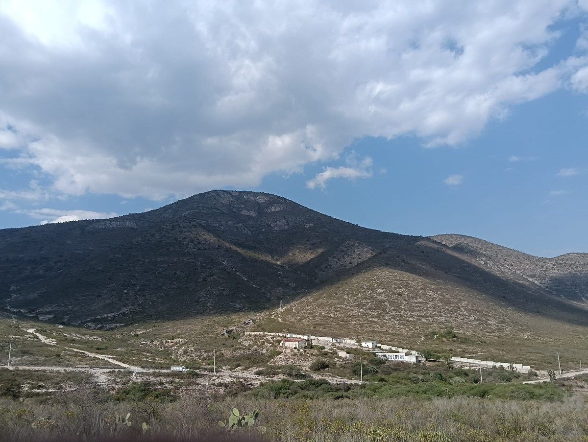 14 de 31
