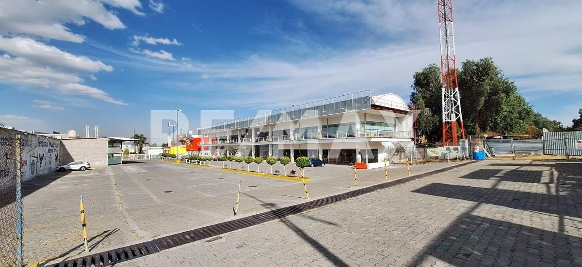 6 de 28