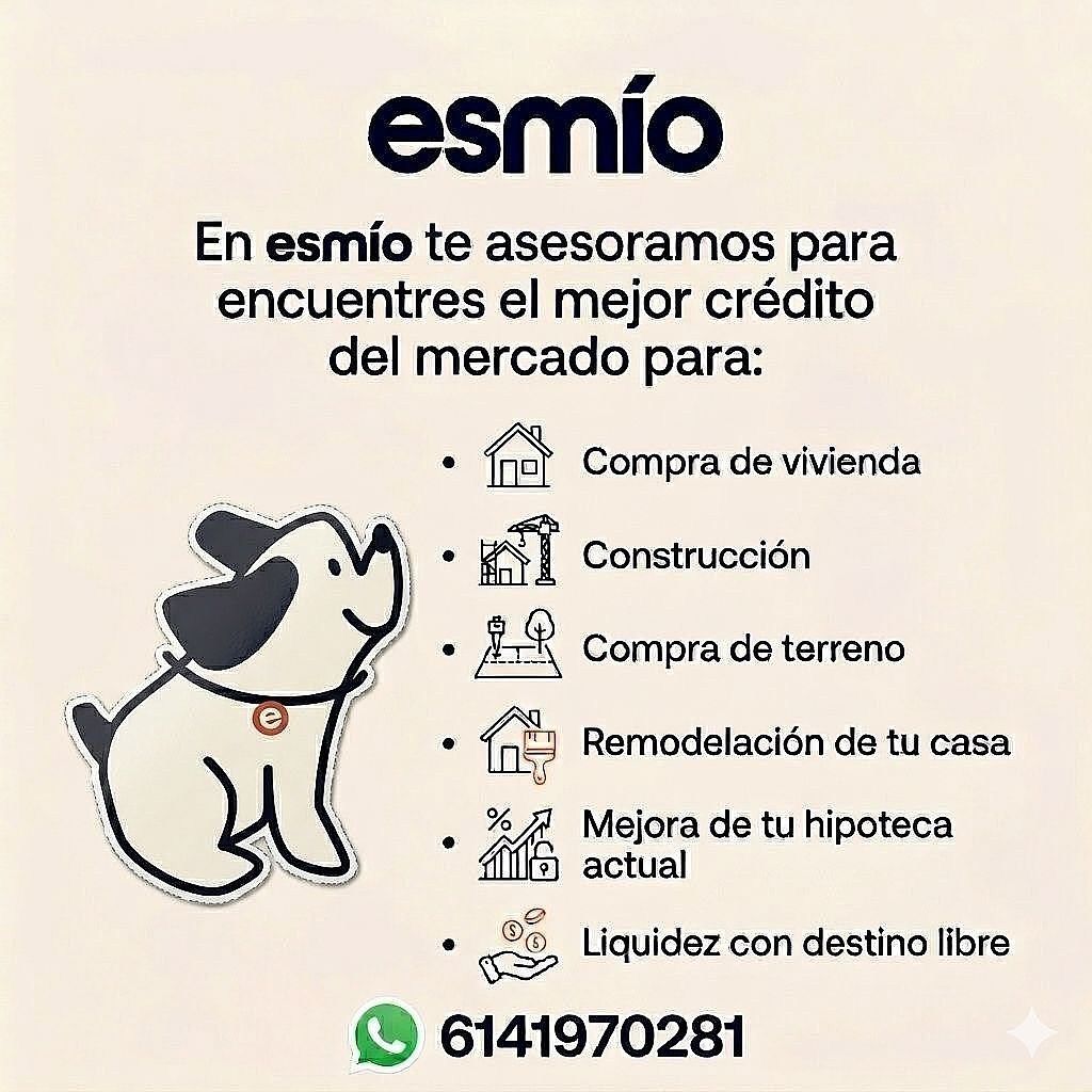 4 de 4