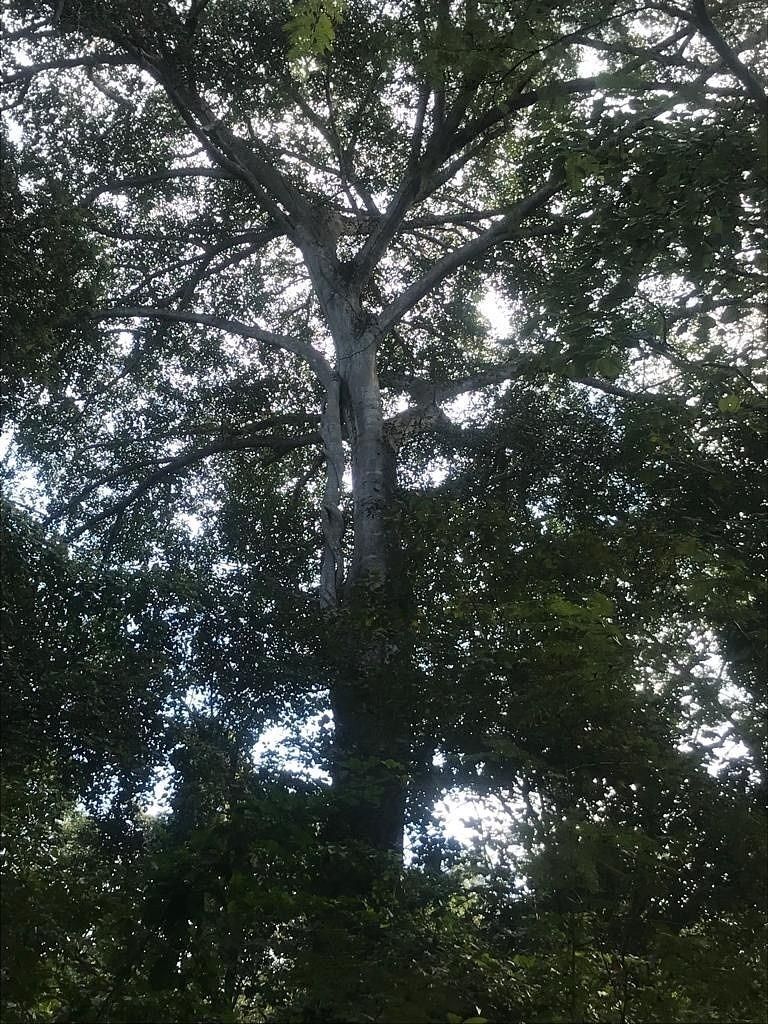 16 de 49