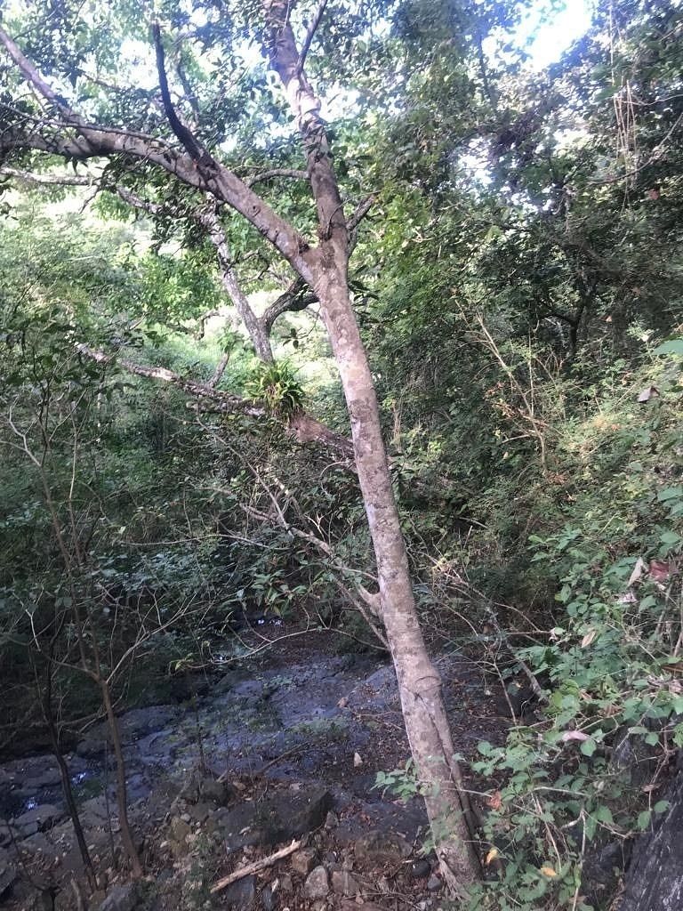 1 de 47