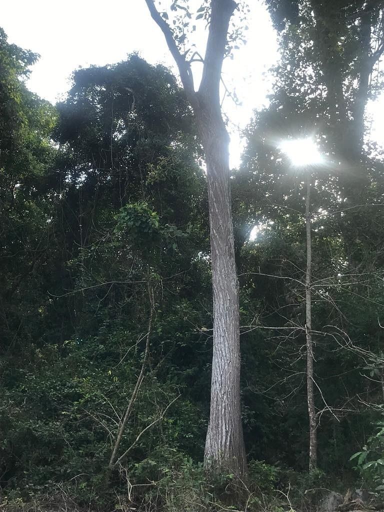 5 de 47