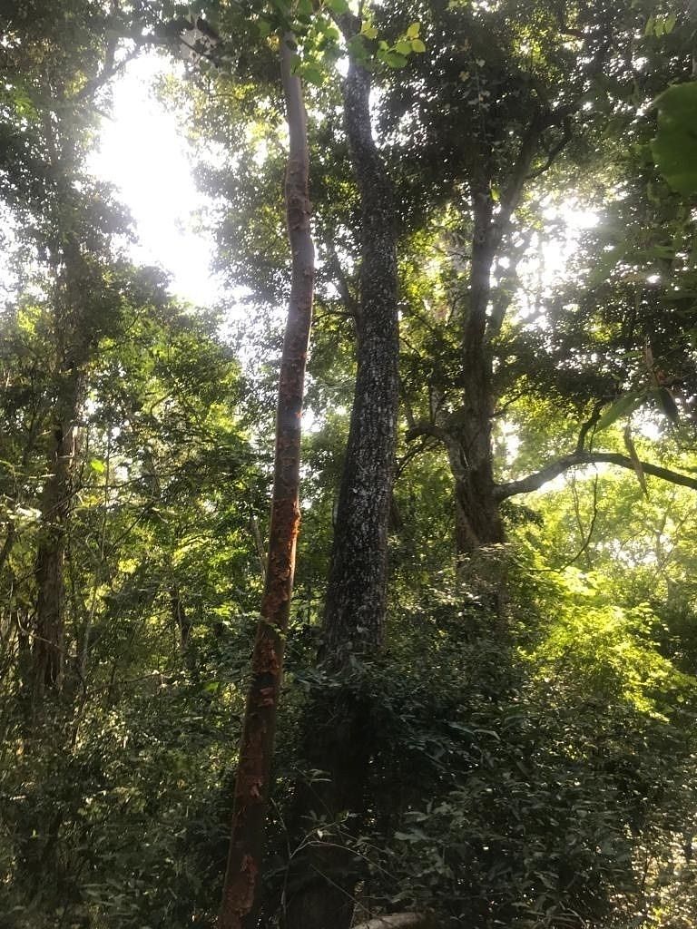 7 de 47