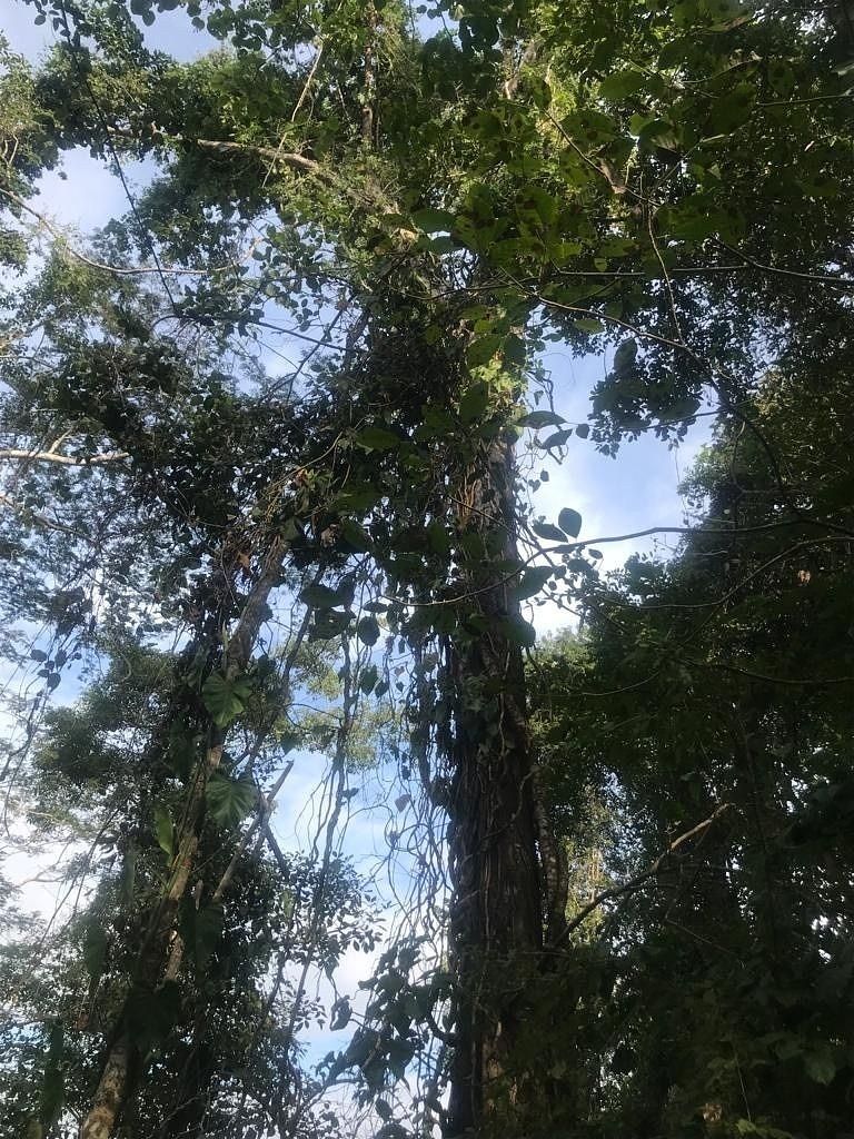 14 de 47