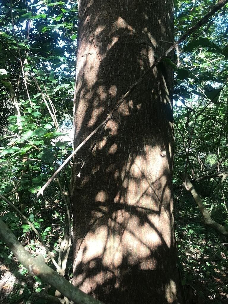 15 de 47
