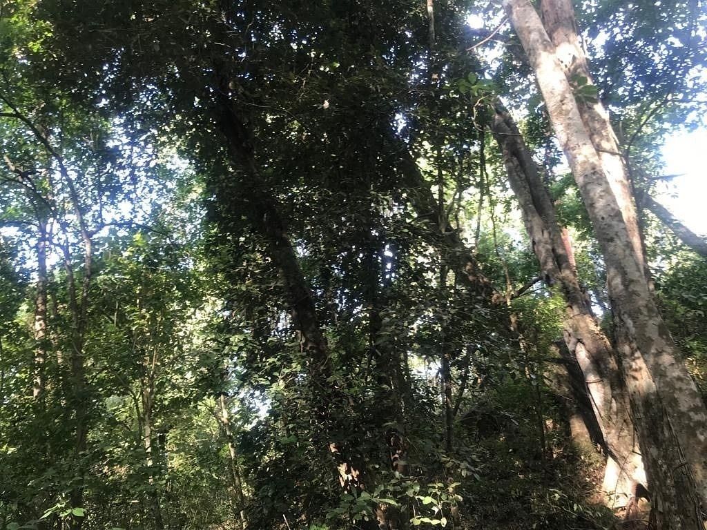 16 de 47