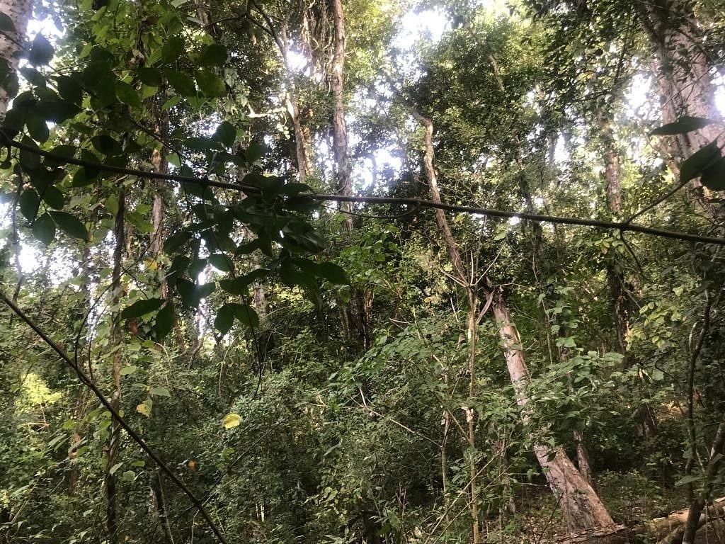30 de 47