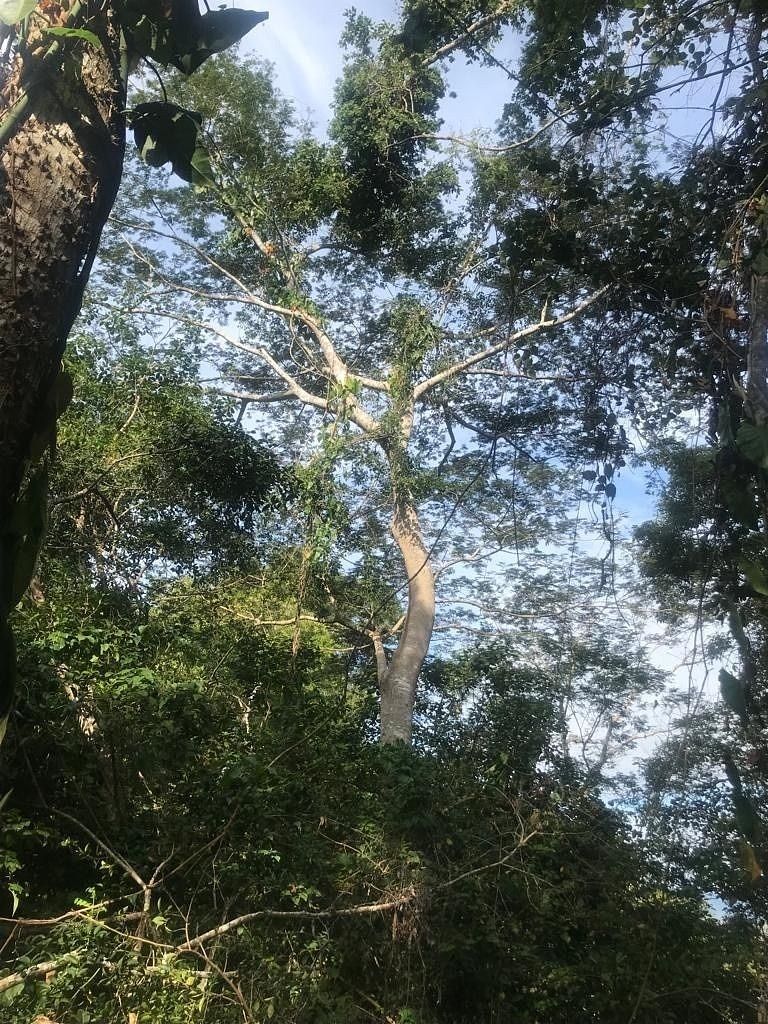 31 de 47