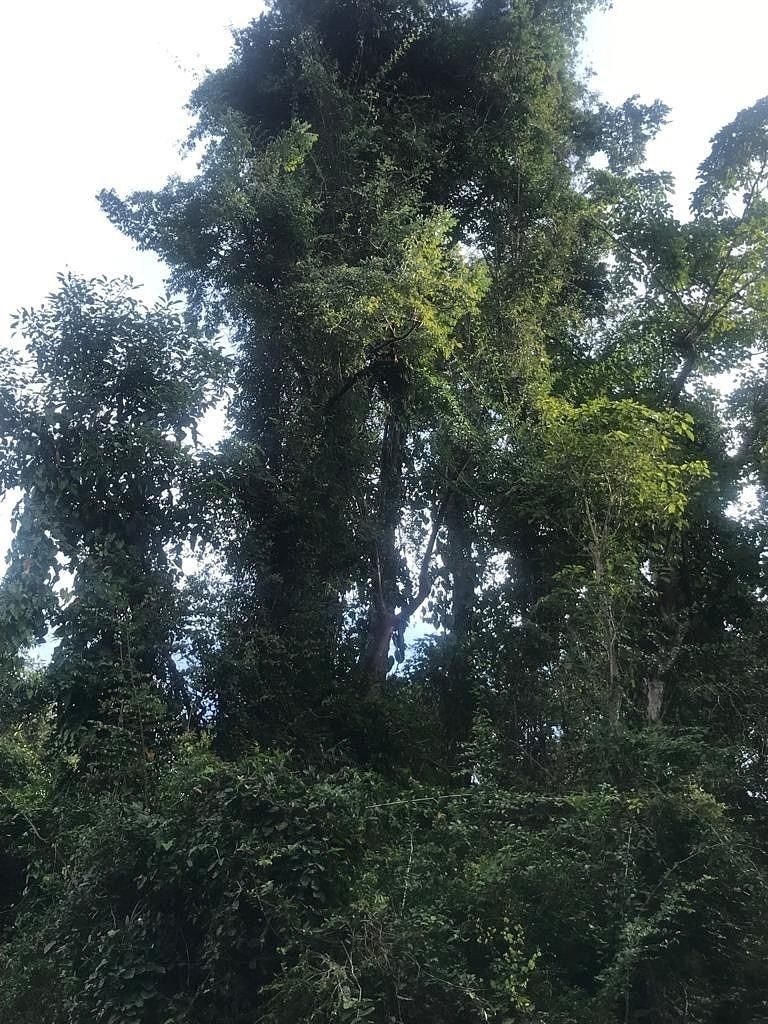 32 de 47