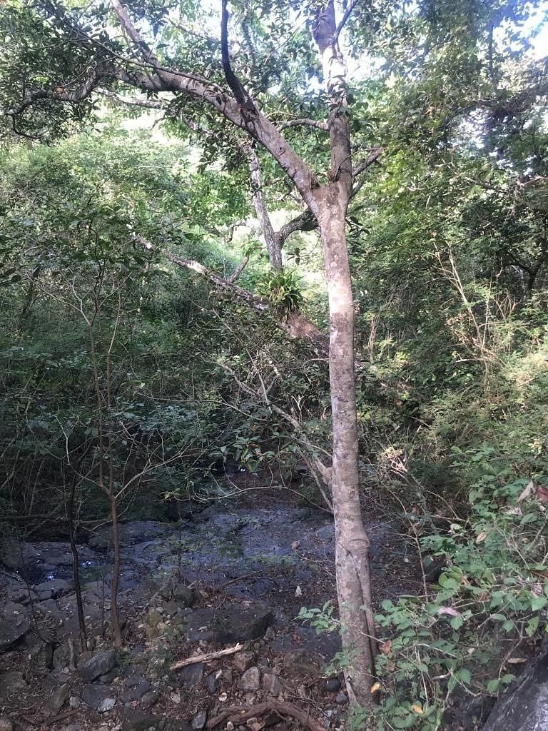 42 de 47