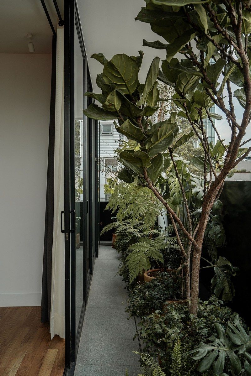 Departamento recién remodelado de 2 recámaras - foto 5