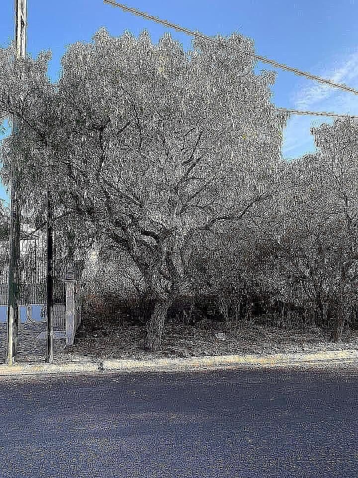 5 de 6