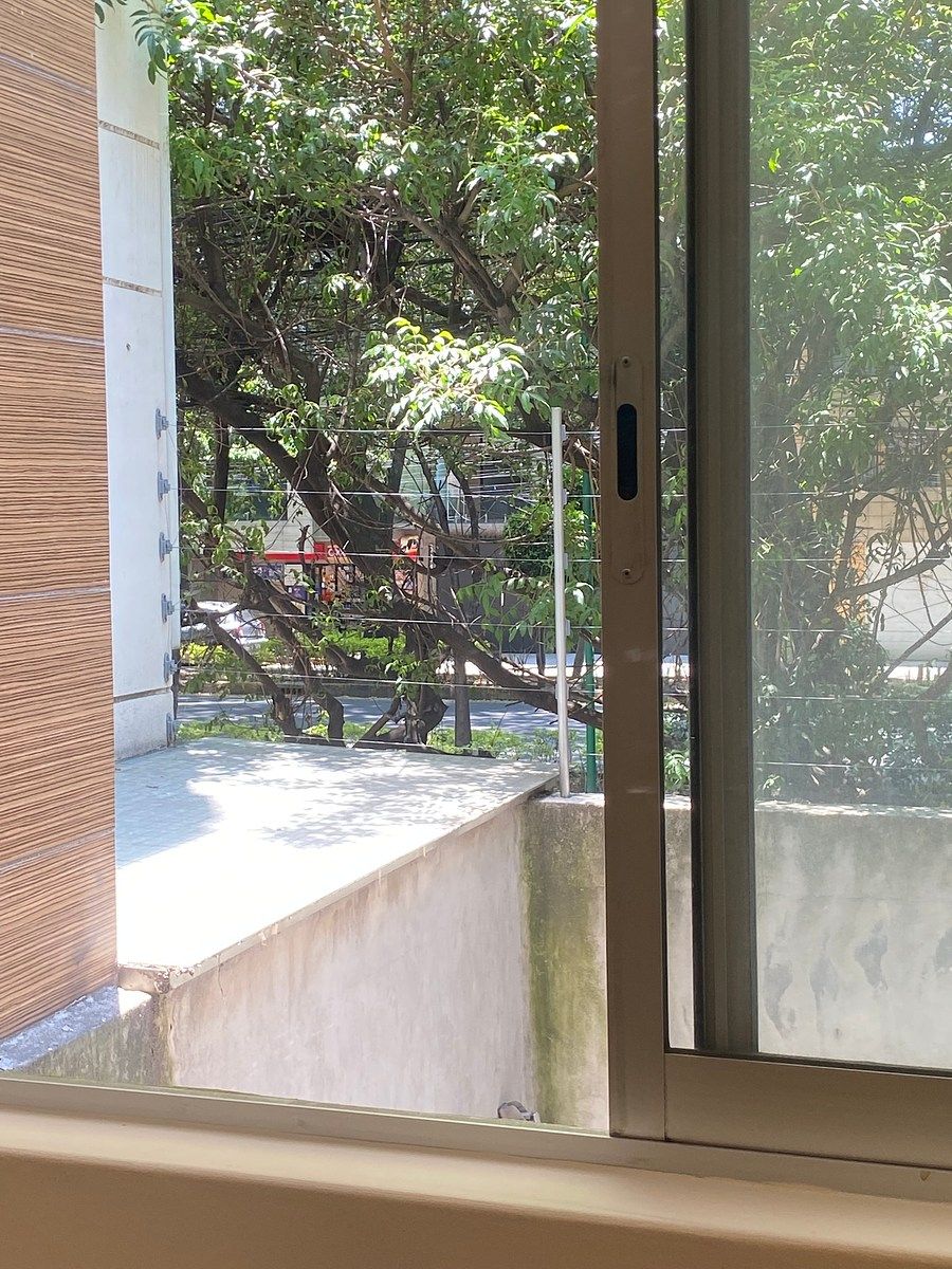 6 of 25: Vista desde la sala