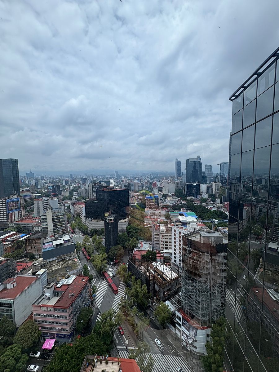 6 de 20