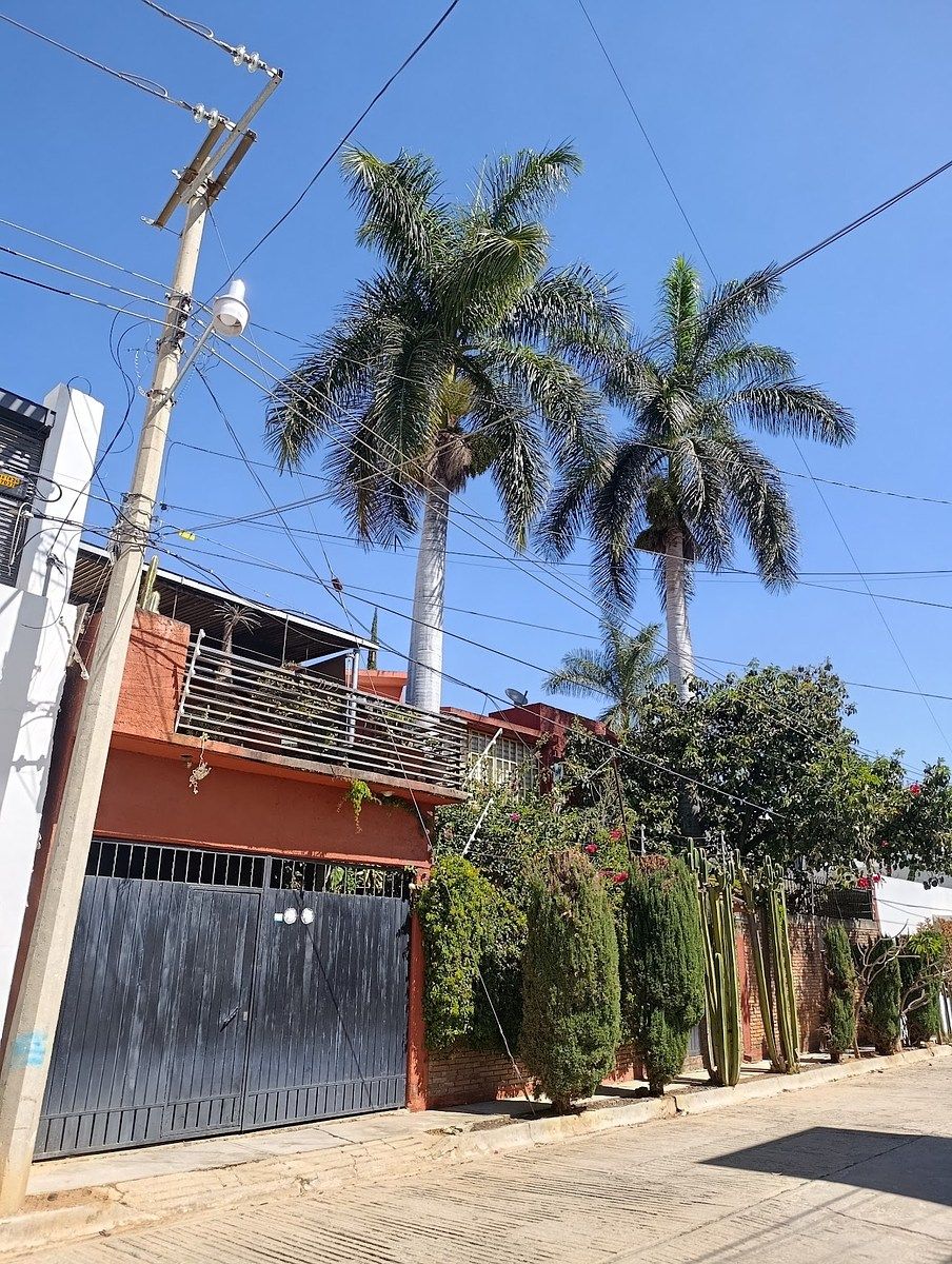 1 de 29