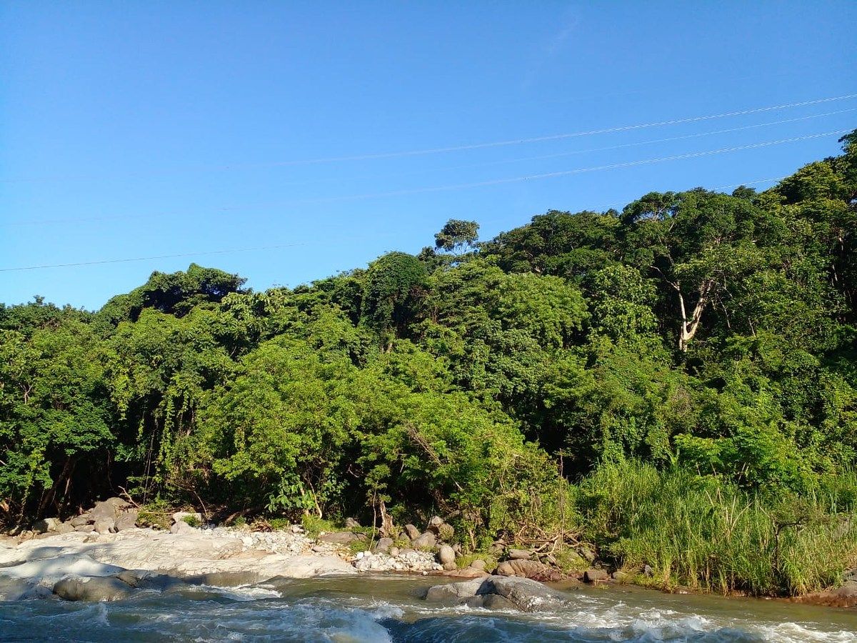 Rancho en Manuel Ávila Camacho, Villa Comaltitlán, foto 11 de 12