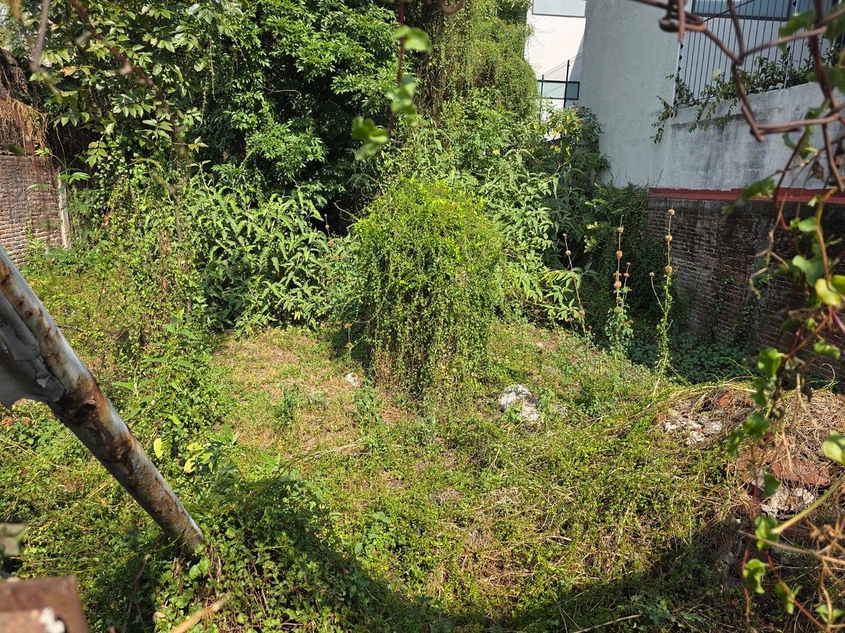 Lote em Pedregal de Santa Úrsula Xitla, Tlalpan, foto 3 de 7