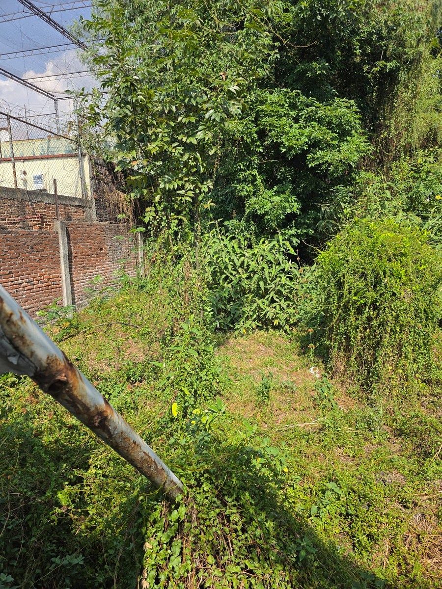 Lote em Pedregal de Santa Úrsula Xitla, Tlalpan, foto 4 de 7
