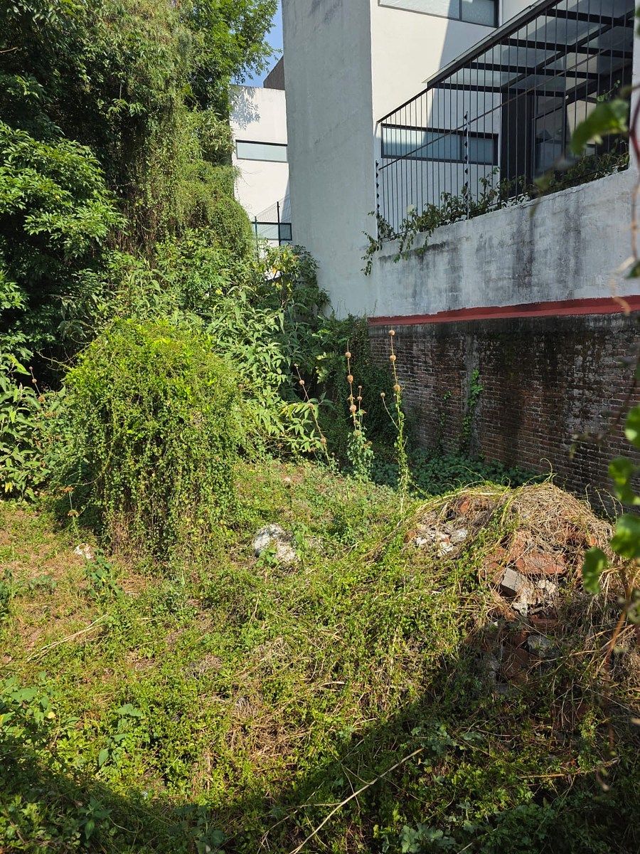 Lote em Pedregal de Santa Úrsula Xitla, Tlalpan, foto 5 de 7