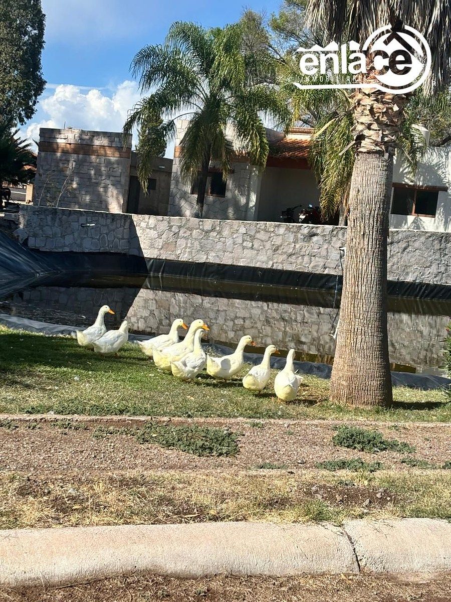 Casa en Colonia Hidalgo, Durango, foto 6 de 6