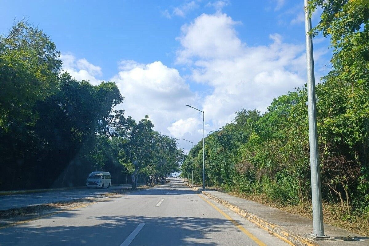 6 de 12