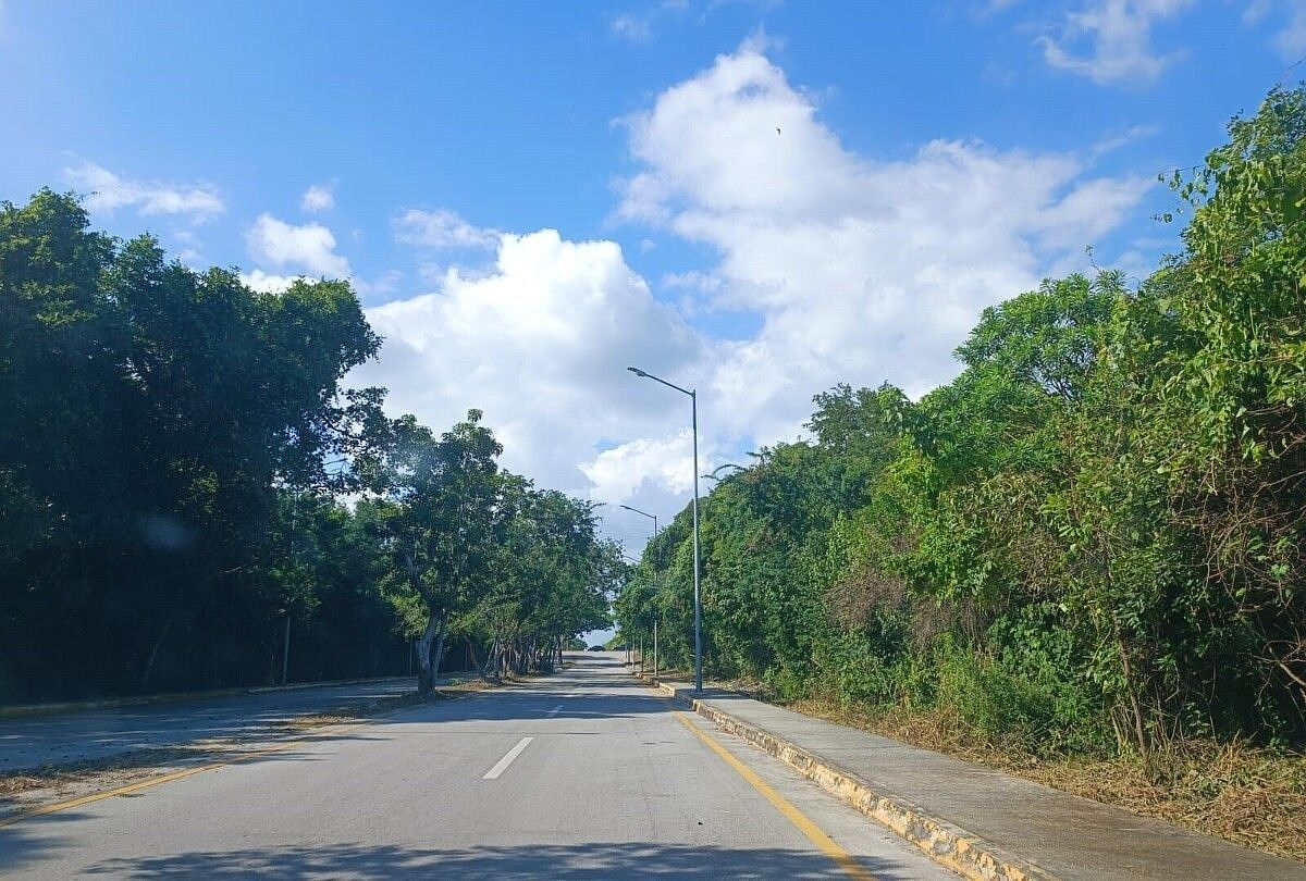 7 de 12