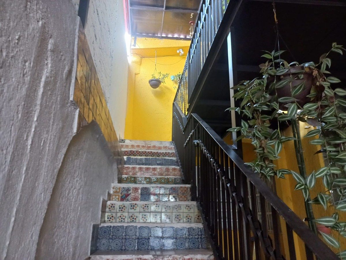 4 de 19