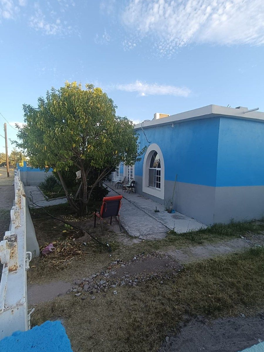 4 de 17
