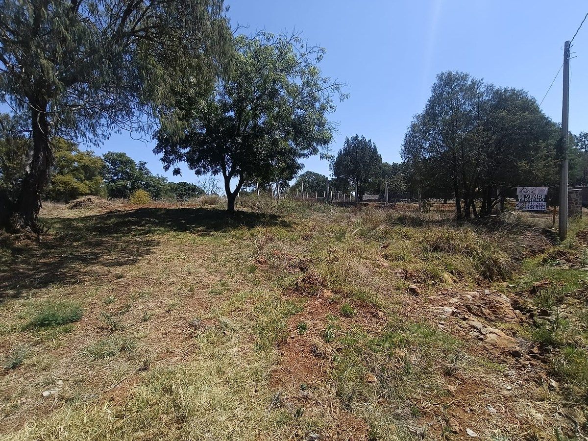 5 de 5