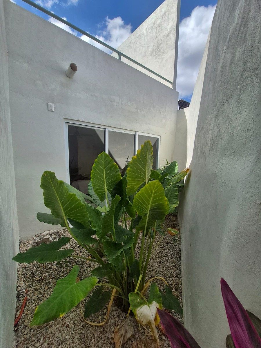 8 de 23