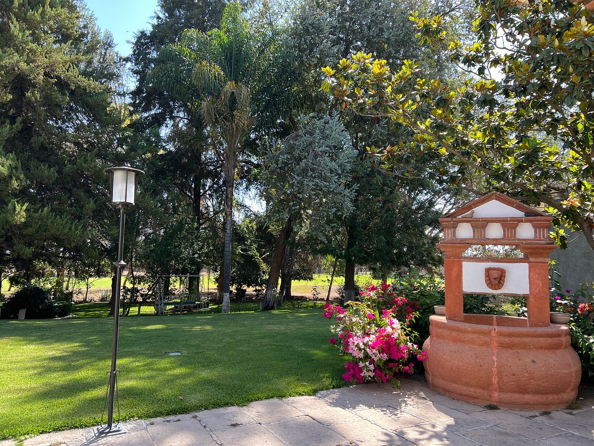 18 de 50: Back garden overlooking the golf course