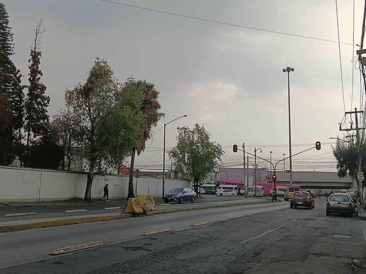 12 de 13