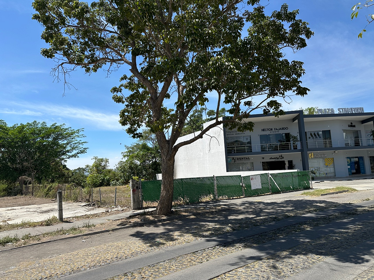 5 de 6