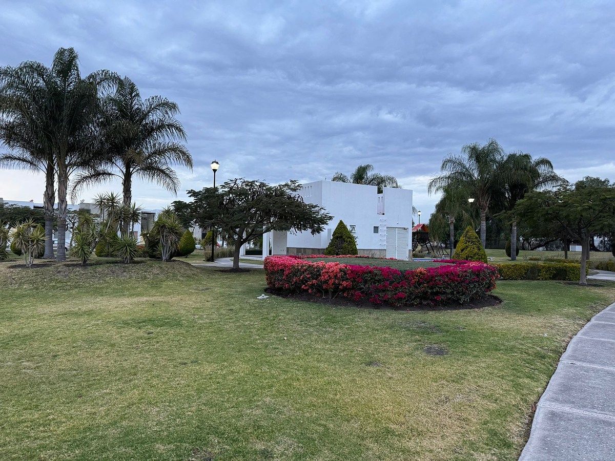 26 de 27