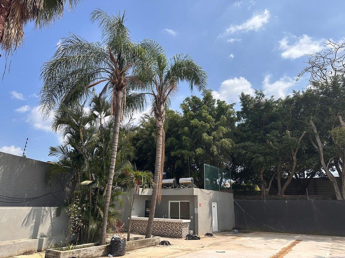 Lot in Acapatzingo, Cuernavaca, photo 2 of 4