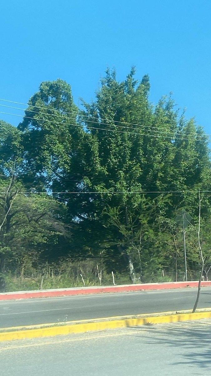 Lote em Terán, Tuxtla Gutiérrez, foto 13 de 15