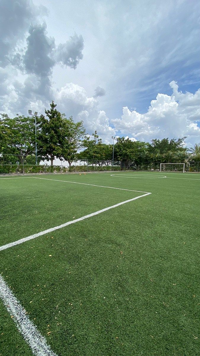 33 de 35