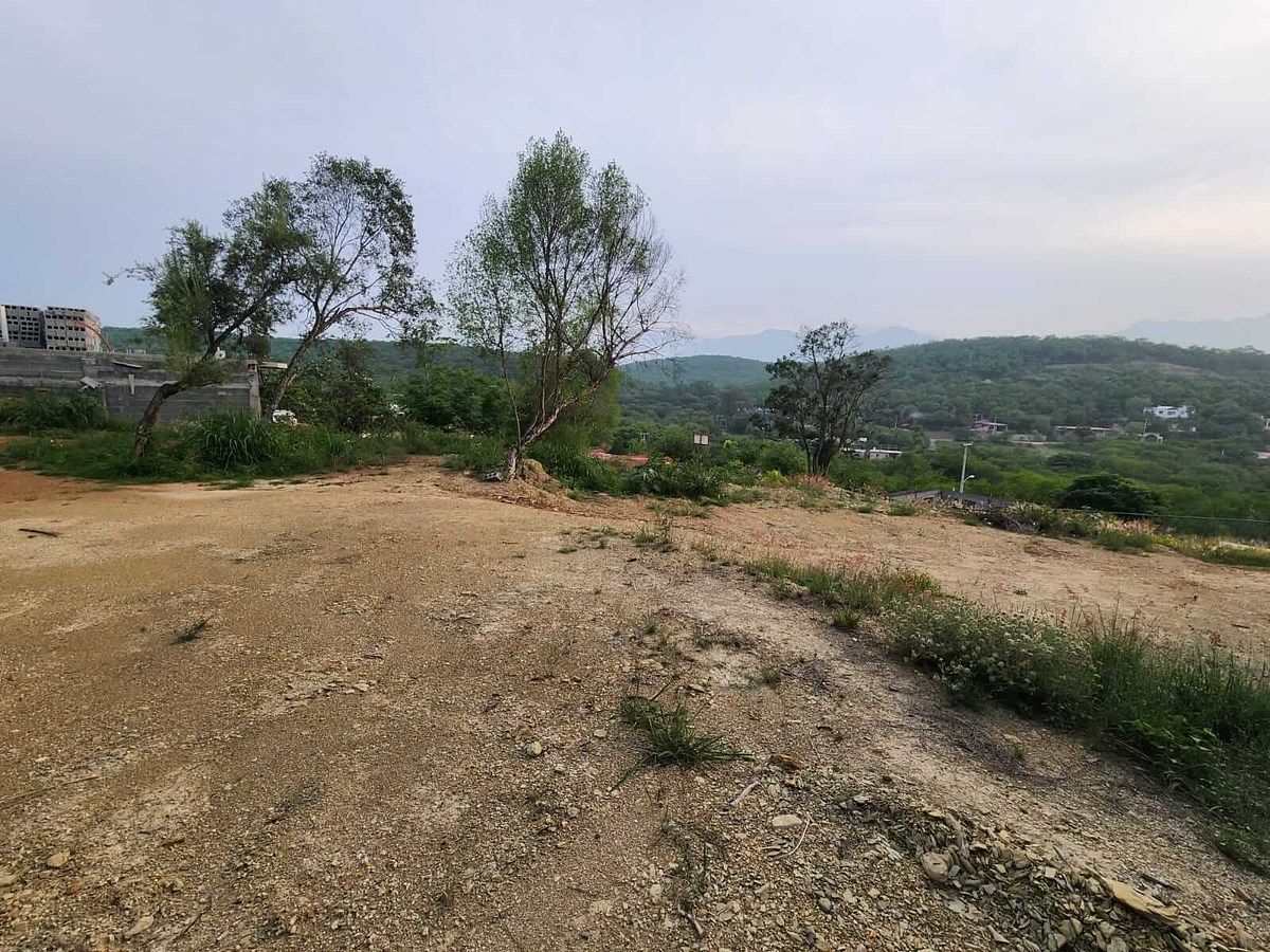 6 de 7