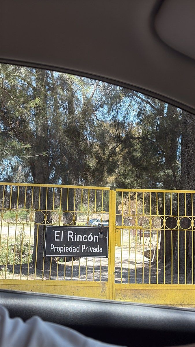 13 de 13