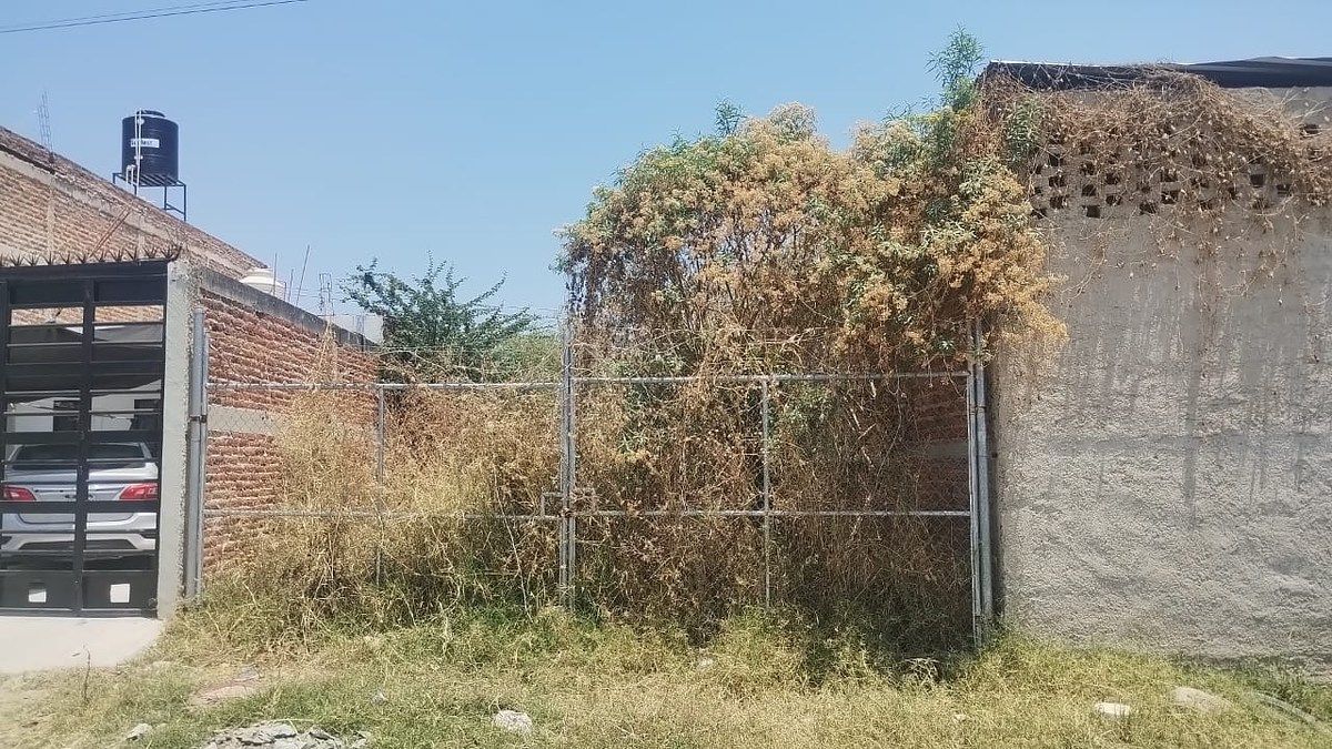 4 de 5