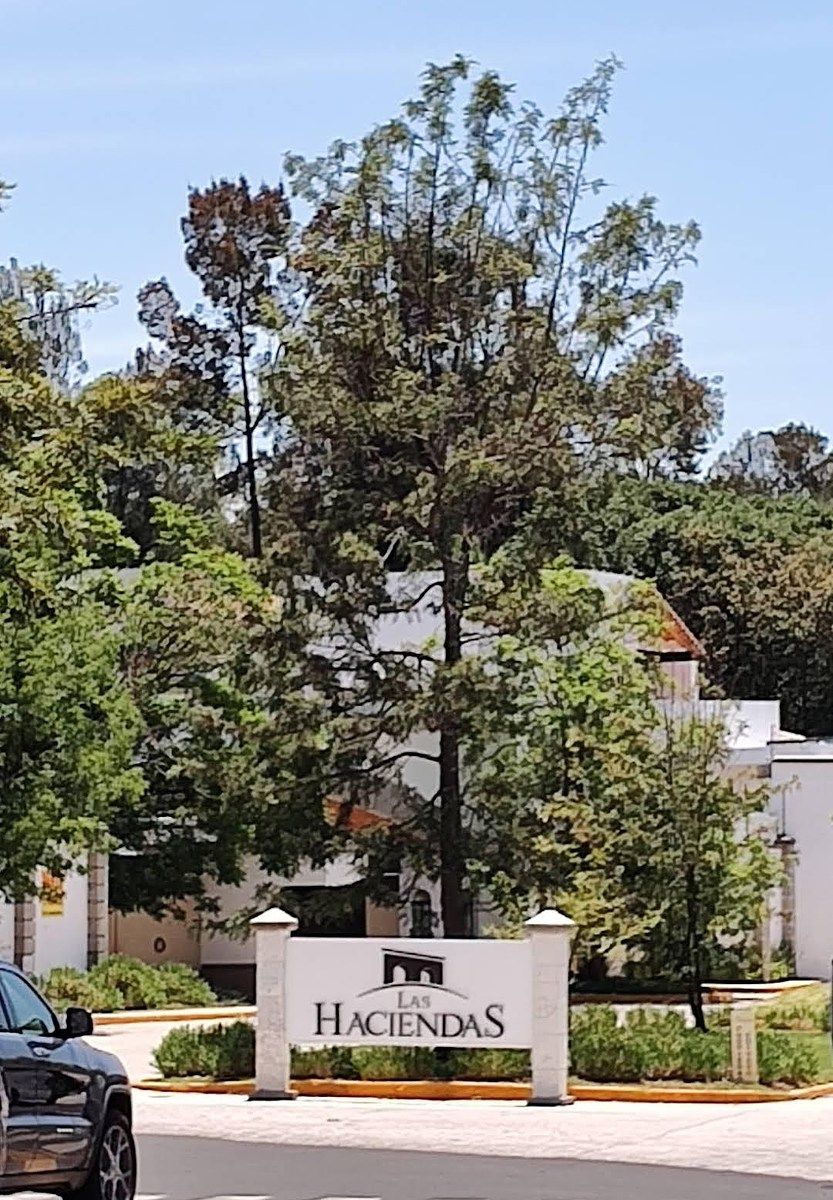 35 de 36