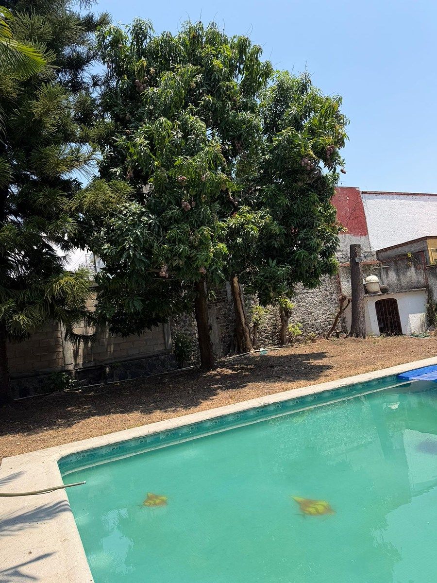 9 de 16